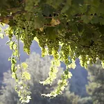 Ambelikos Traditional Agrohotel